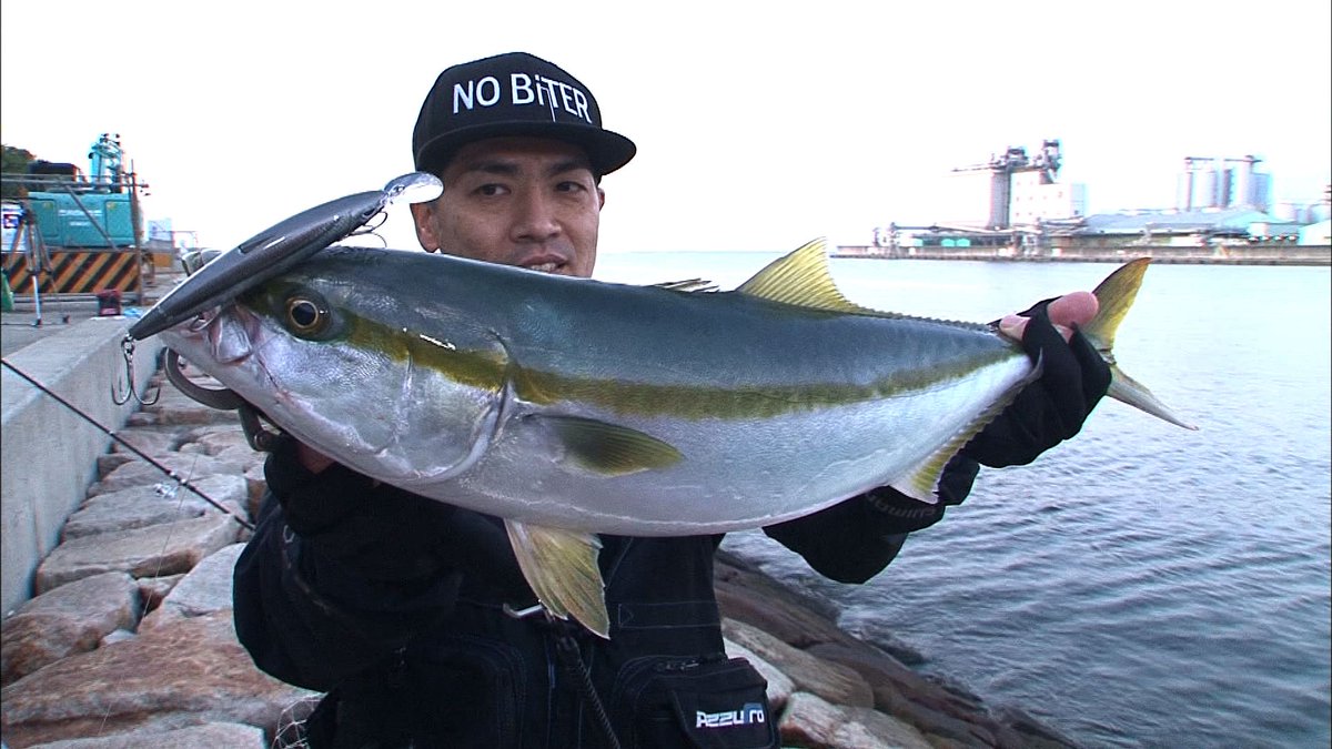 shikinotsuri_tw's tweet photo. 次回12月4日(金)PM22:00～の四季の釣りは「南芦屋浜は魚種豊富　手軽にファミリーフィッシング！」😁💪
まずウキ釣りでタチウオを狙うが、まだ活性が低くアタリも数回ほど。突然、ルアーで青物を狙っていたサポーターの竿が大きく曲がった。 姿を見せたのは…？お楽しみに！
https://t.co/J44r6fv7QK https://t.co/HlsCObx1ly