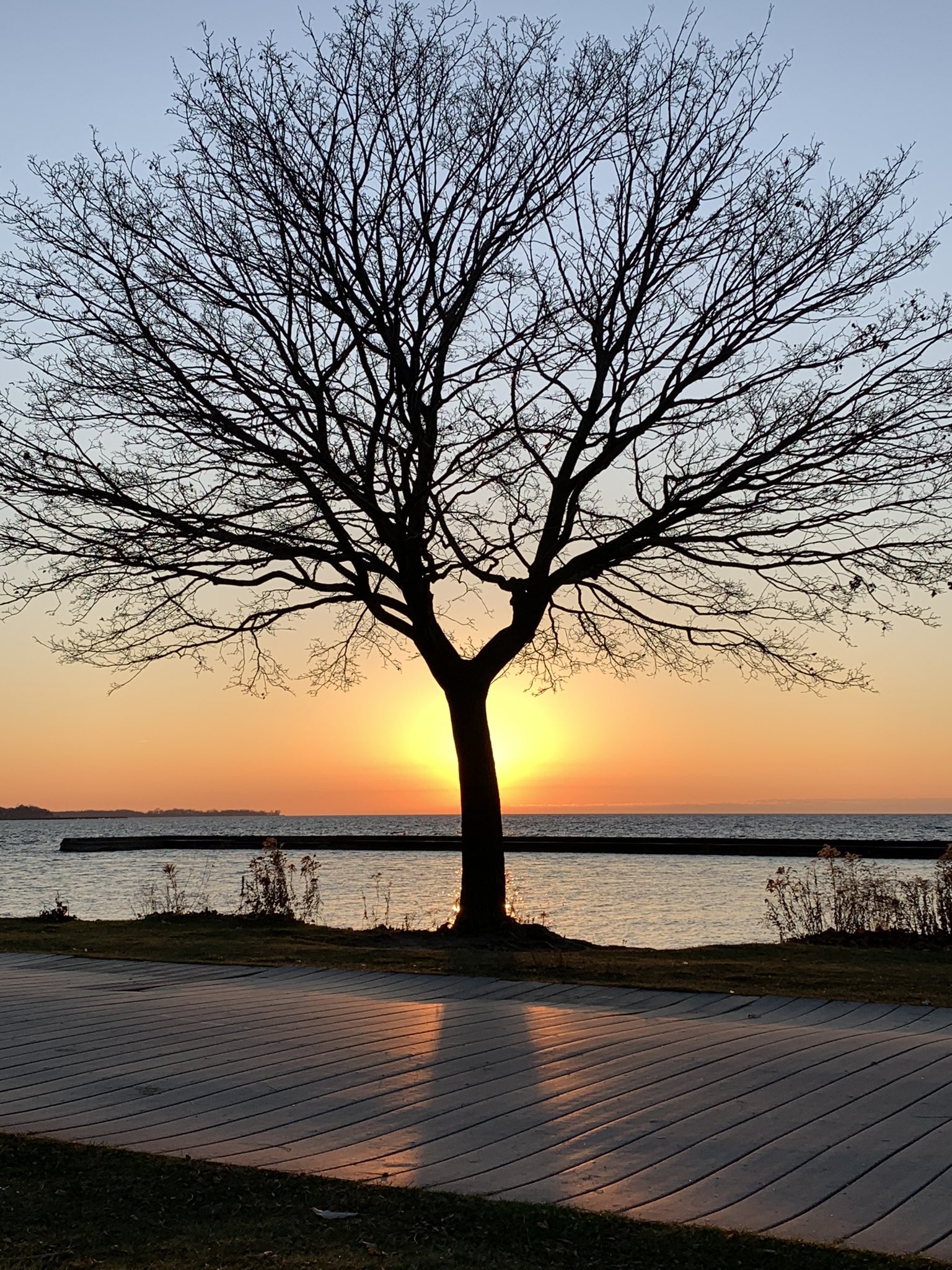 Gordon Thomas Rattray Hannah on Twitter: 