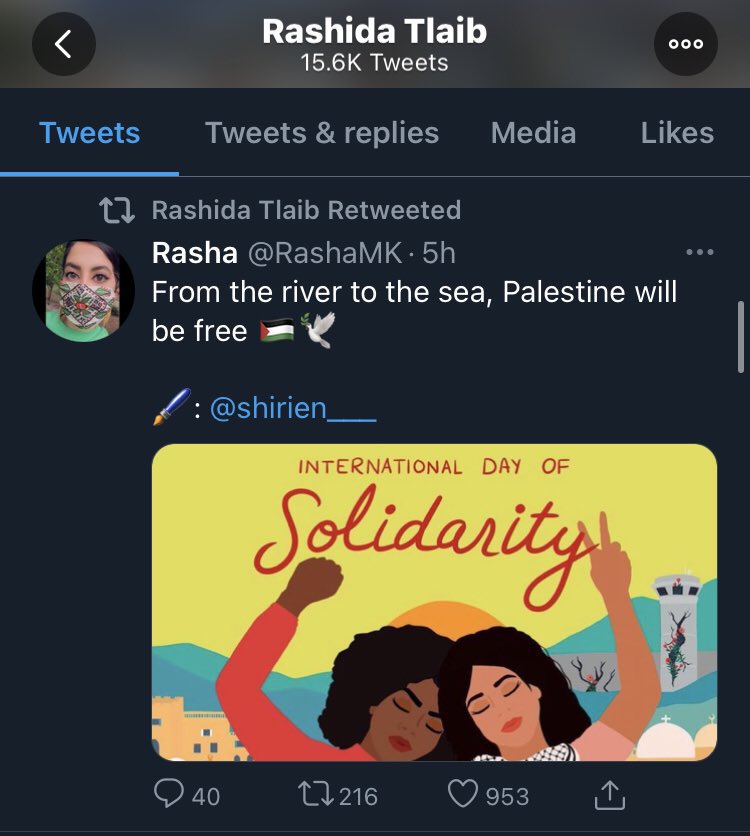 Claire_V0ltaire's tweet photo. Tell me again how Rashida Tlaib is not a raving antisemite. https://t.co/lHFzbBmrBm