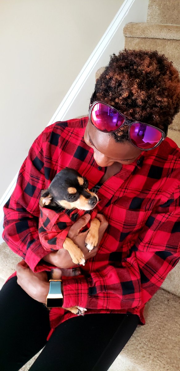 RunErickaRun's tweet image. Oakley🐕and I in our matching shirts😍❤#pawfectmatch #chihuahuamix #puppylove #oakley