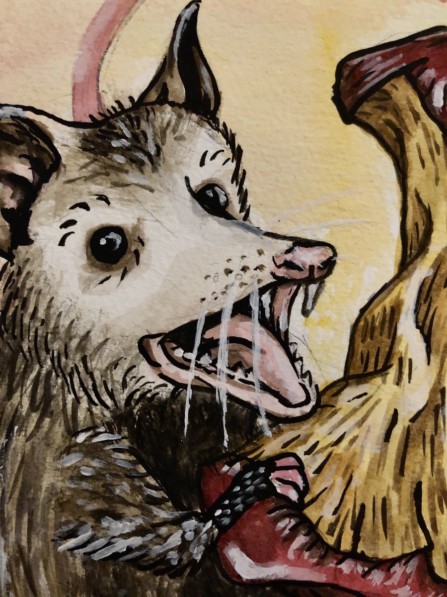 DesignsKalohe's tweet photo. Just finished this Opossum commission 

He’s pretty cute. 

Commissions are open for the next week for right before Christmas! https://t.co/Jki14fcHcE