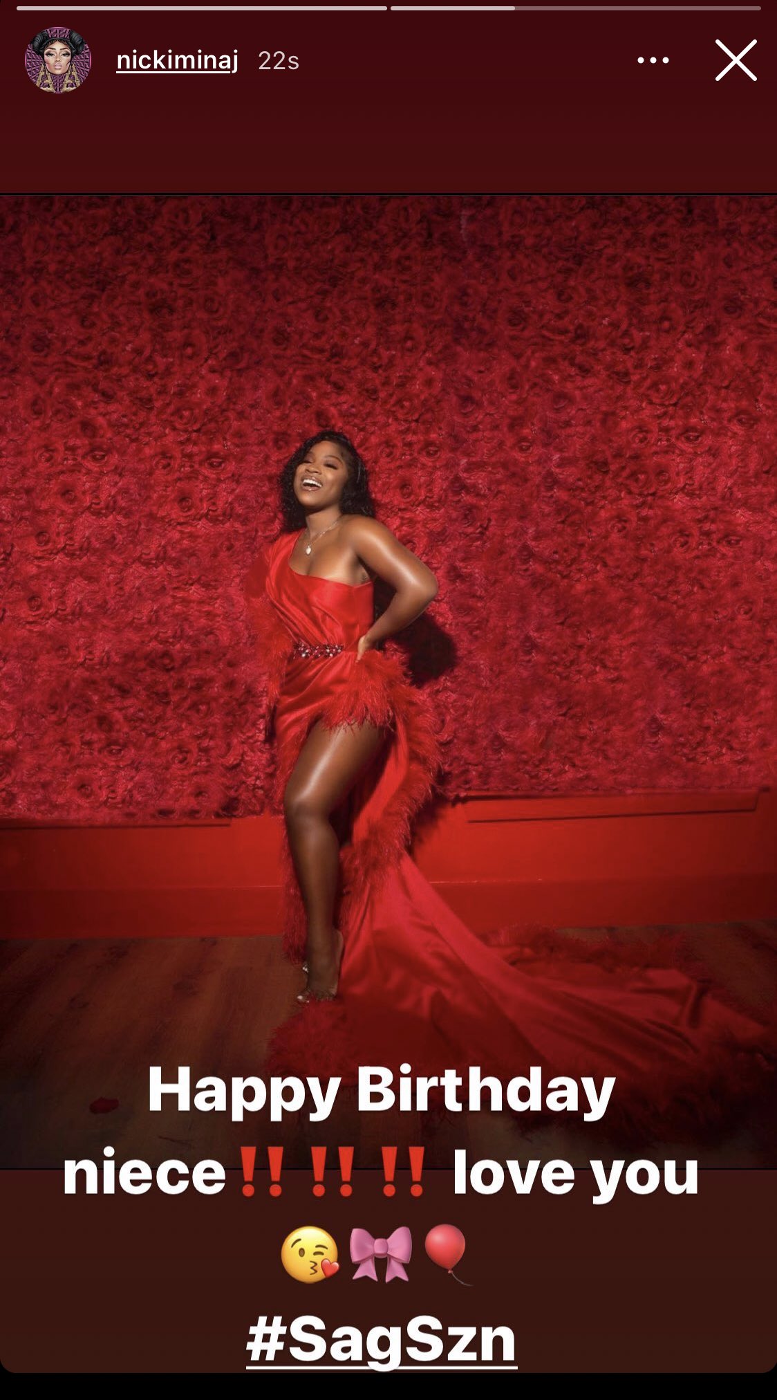  wish a Happy Birthday to the Actress Reginae Carter on Instagram Stories    