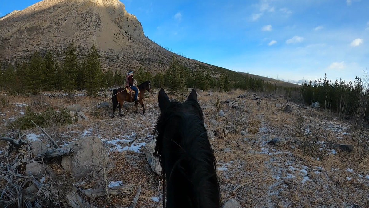 Mike Harink tweet media