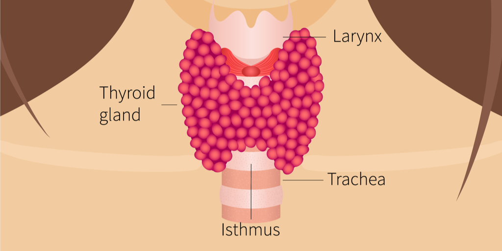 MDEdgePsych's tweet photo. All patients with #postpartum #depression should be screened for #thyroid dysfunction. https://t.co/clef0nI1aw #MEDS2020 https://t.co/FWmY6ySJPE