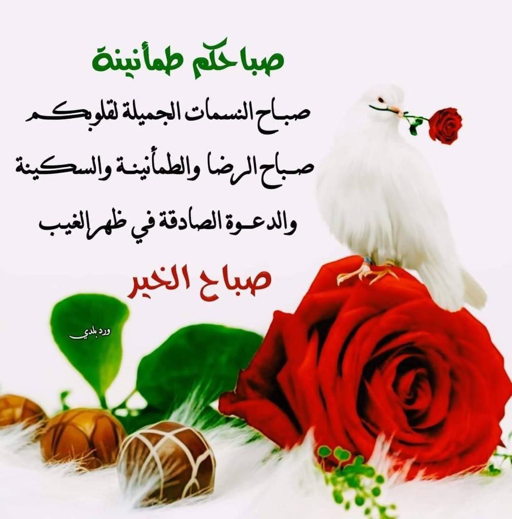 نوال محمد (@fgf_uj) on Twitter photo 