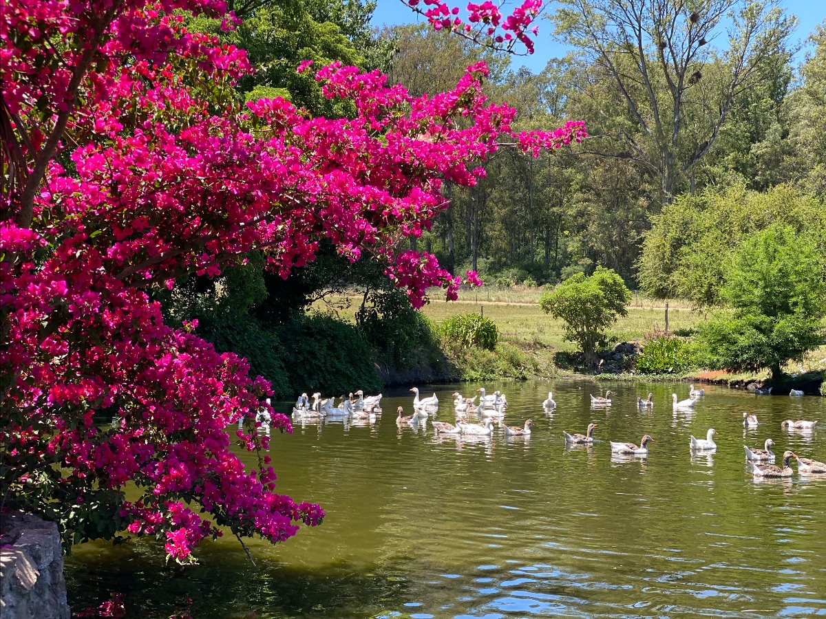 Vení a pasar tus vacaciones en un mundo aparte - mailchi.mp/hotelnirvana/v… cerquita de tu casa.