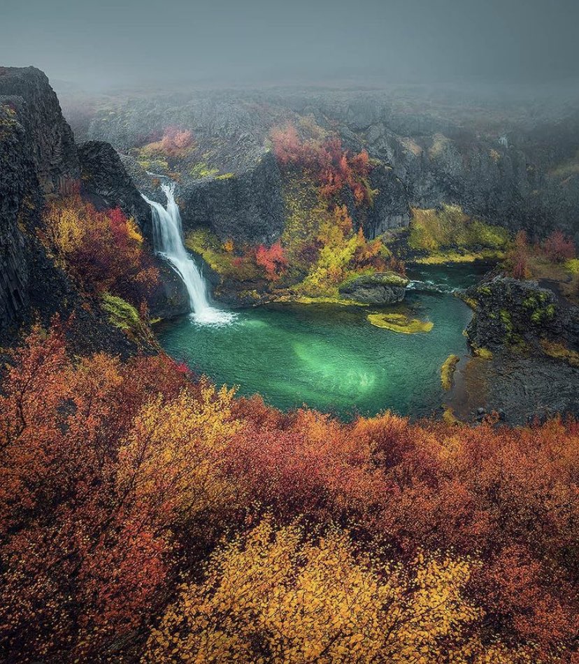 El paraíso está en Islandia 😍

Foto propiedad de beyondthelands