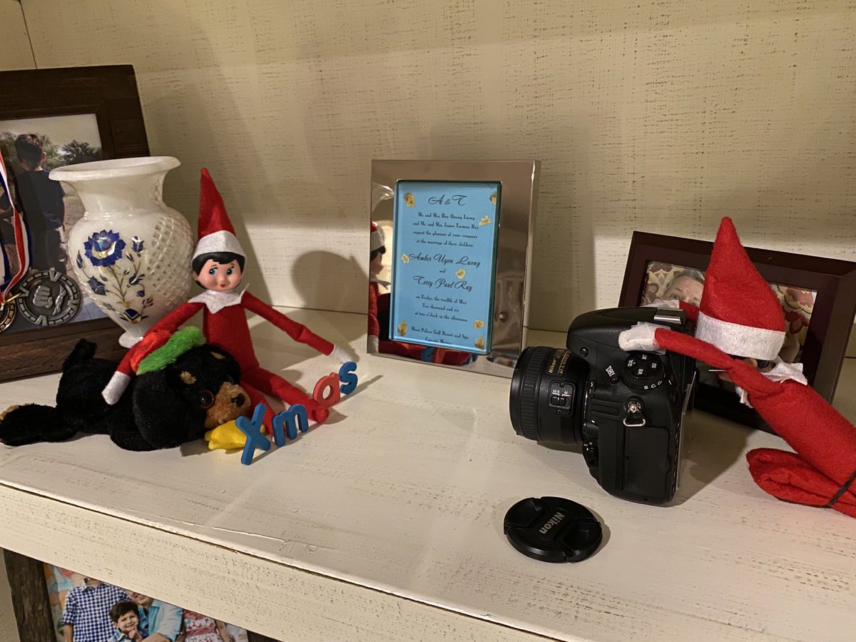 The elves have returned and they are documenting the occasion! #elves
