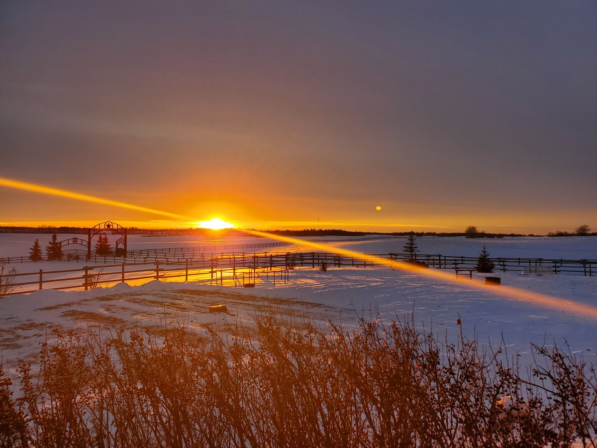 Berreth07's tweet photo. Beautiful evening!! #albertasunset #countryliving #embracingthemoment https://t.co/uhhZ0jzBIV