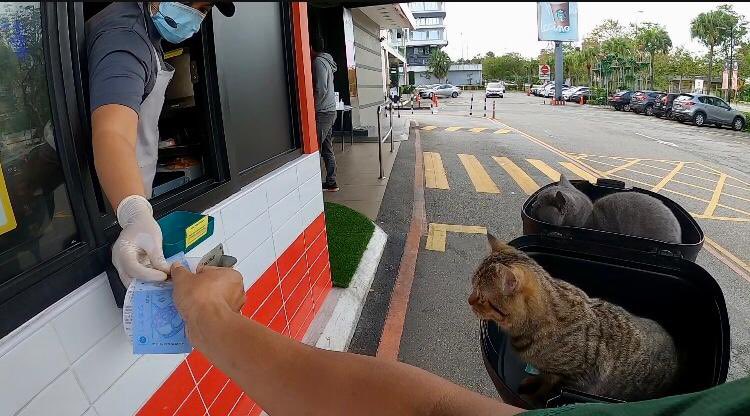 FamilyRexD's tweet photo. Acik buka pintu cepat. Rex dan Tabby dah lapar sangat nih.
Video sini https://t.co/dbGe01utvW #pecintakucing #kucingcomel #kucing #kucinglucu #kucingpintar https://t.co/jEOX6cVEFm