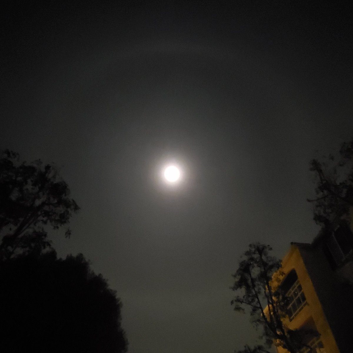 Thinkk4yourself's tweet photo. Its a ring around the moon tonight #LunarHalo π«π«π« #ViewsfromCali #AgeofAquarius https://t.co/6AAoDy8c42