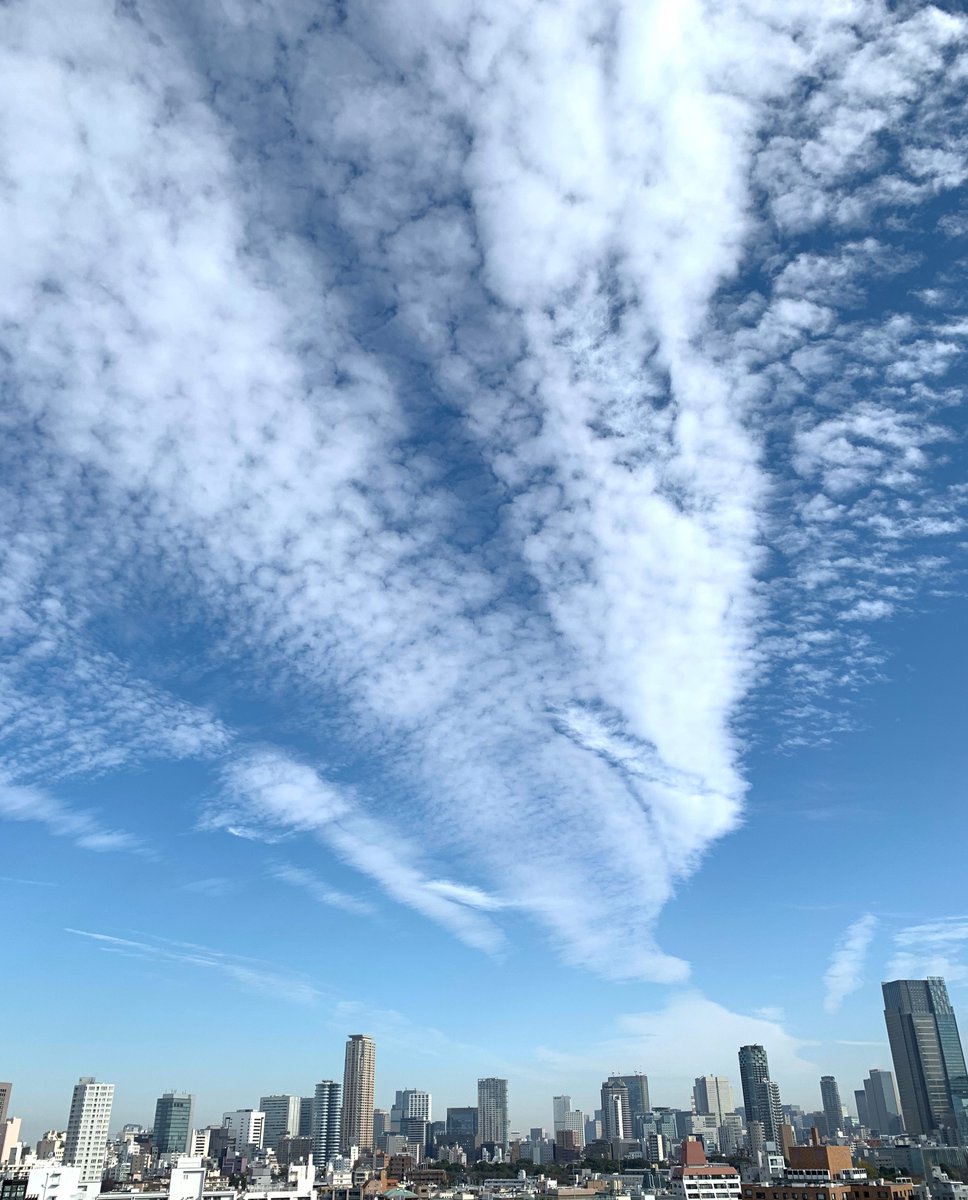 japan2theworld's tweet photo. Beautiful morning of the last day of November
#tokyoweather #lastdayofNov #tokyo https://t.co/LIuGQWZfYl