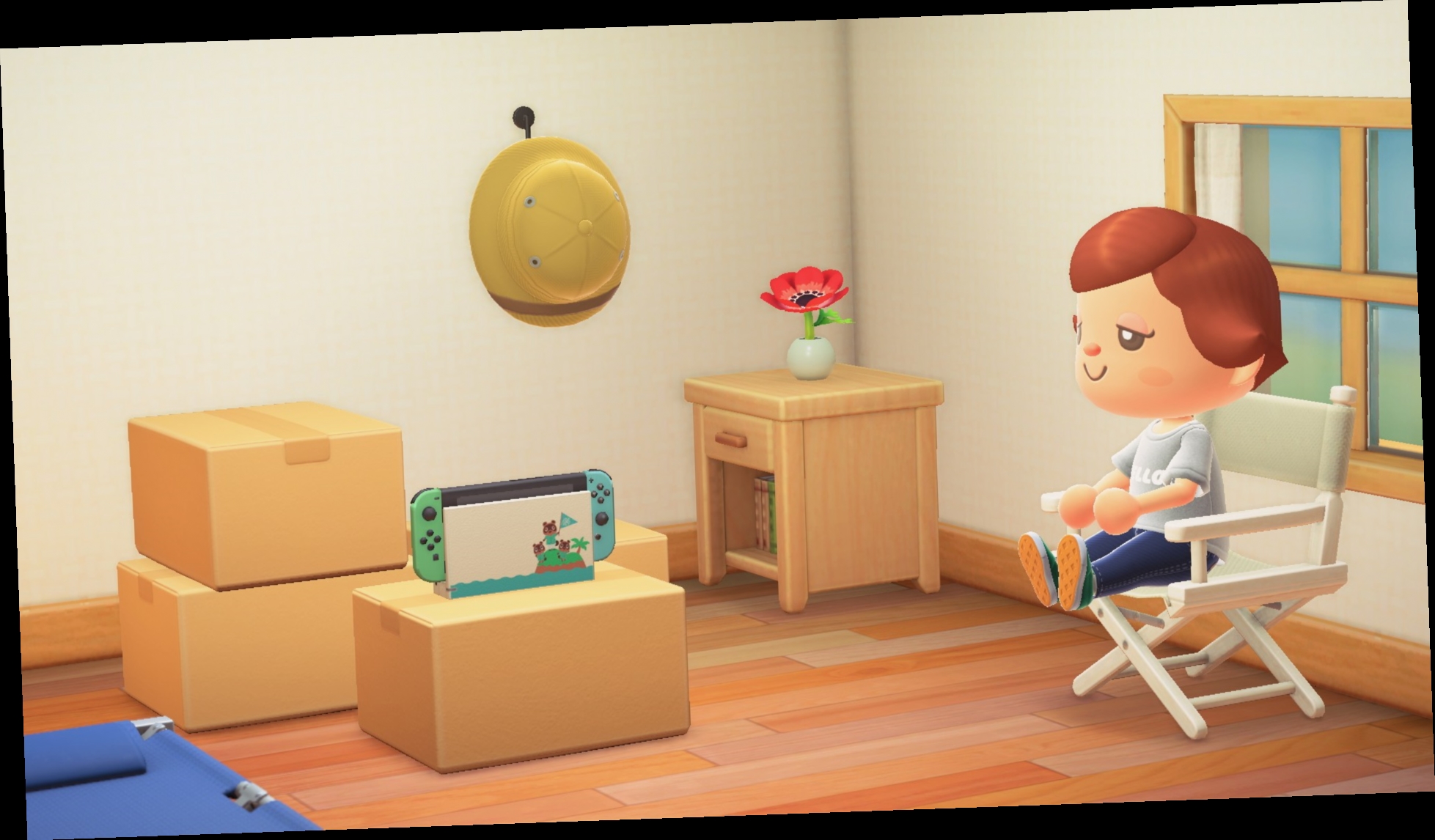animal crossing new horizons cardboard box hack / Twitter