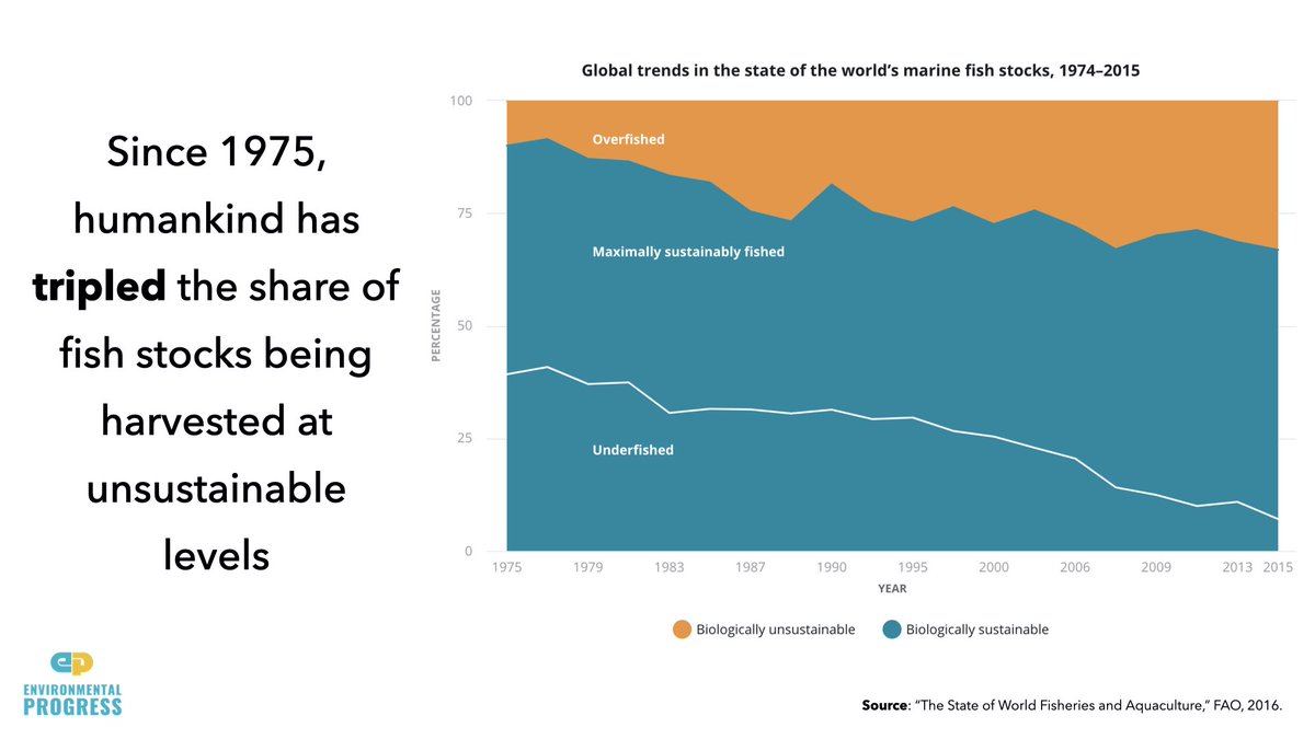 And we are eating too many fish, and failing to protect sea life- 33% of global fish stocks are over-fished- We have tripled the share of over-fished stocks since 1975- Demand for fish will double by 2050- Just 8% of oceans are protected