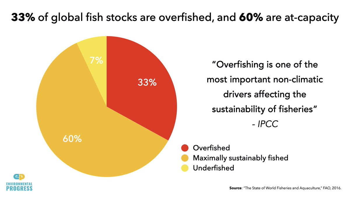 And we are eating too many fish, and failing to protect sea life- 33% of global fish stocks are over-fished- We have tripled the share of over-fished stocks since 1975- Demand for fish will double by 2050- Just 8% of oceans are protected