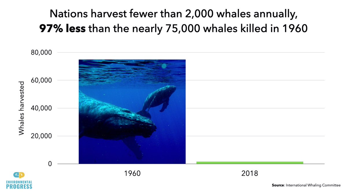 But many conservation trends are going in the right direction- We kill 97% fewer whales than in 1960- Deforestation in Brazil remains at decade-long low- European & other developed nations are re-foresting- There are 25x more protected areas today than existed in 1960