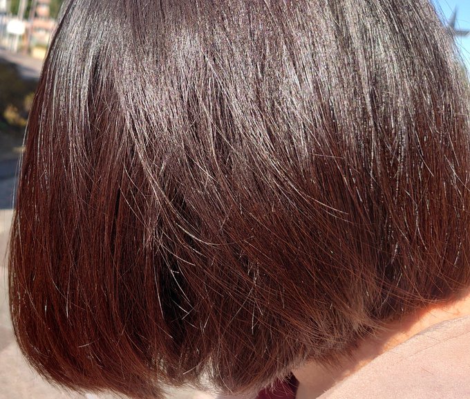 一年ぶりに髪切った(o'・ω・`o) 