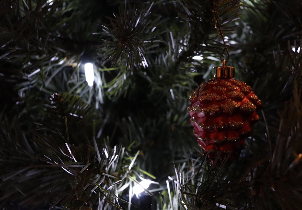 AmandaGYEP's tweet photo. This week, we continued with photography through exploring how to take different types of shots, such as rule of thirds and bug’s eye view, while using Manual Mode! 😁 We also continued with the Christmas theme 🎄 @YEPeducation #LetsTeachAdults 

Here are a couple of her photos: https://t.co/o0vMAFdvRP