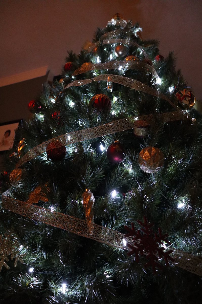AmandaGYEP's tweet photo. This week, we continued with photography through exploring how to take different types of shots, such as rule of thirds and bug’s eye view, while using Manual Mode! 😁 We also continued with the Christmas theme 🎄 @YEPeducation #LetsTeachAdults 

Here are a couple of her photos: https://t.co/o0vMAFdvRP