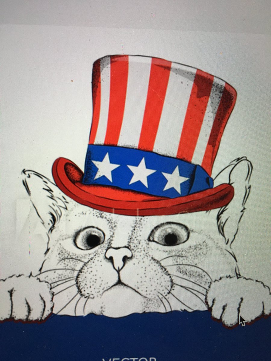 RappCatsAdopt's tweet photo. "Just think," said #Shorty. "If you'd been playing w/#FirstCatShorty, ur foot b fine." ๐น Still dreaming & ready to serve his countryโค๏ธ๐บ๐ธโค๏ธ @JoeBiden @DrBiden #cat #cats @MollyNagle3 #mondaythoughts #MondayMorning #pets #AdoptDontShop #catlovers #MondayVibes @CBSSunday @dailypaws https://t.co/rVyQmxhmII