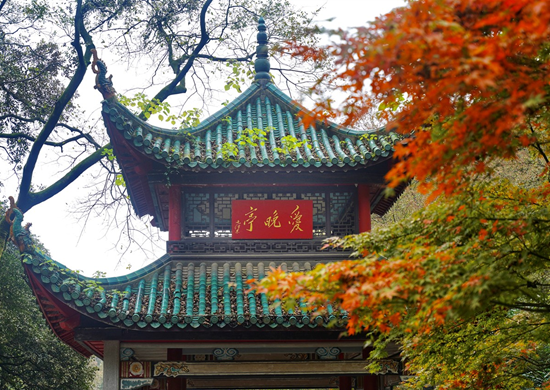 ChangshaCity's tweet photo. #100Scenes
The maple trees near the Aiwan Pavilion in #Changsha gradually changing colors as the weather became colder.They have different colors of orange, yellow, bright red and green. The best viewing period of maple trees will be between early and mid-December. Don’t miss it~ https://t.co/8z6aBNovle