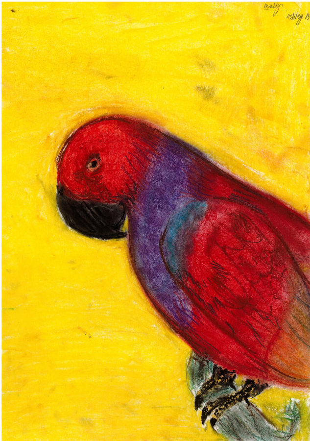 CaulfieldJunior's tweet photo. Mrs Wright has organised an artwork competition to select the pieces that will be featured on the front covers of the Junior and Senior student planners for 2021. 💚💛  And the winners are… Mia P. and Ashley B.👏👏👏
#cjc #caulfieldjuniorcollege #leadingtheway #school #caulfield https://t.co/rzv1BwFKEF