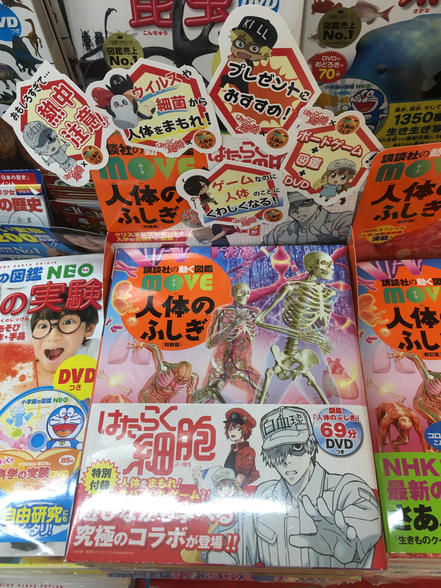 喜久屋書店 神戸北町店 on X: 