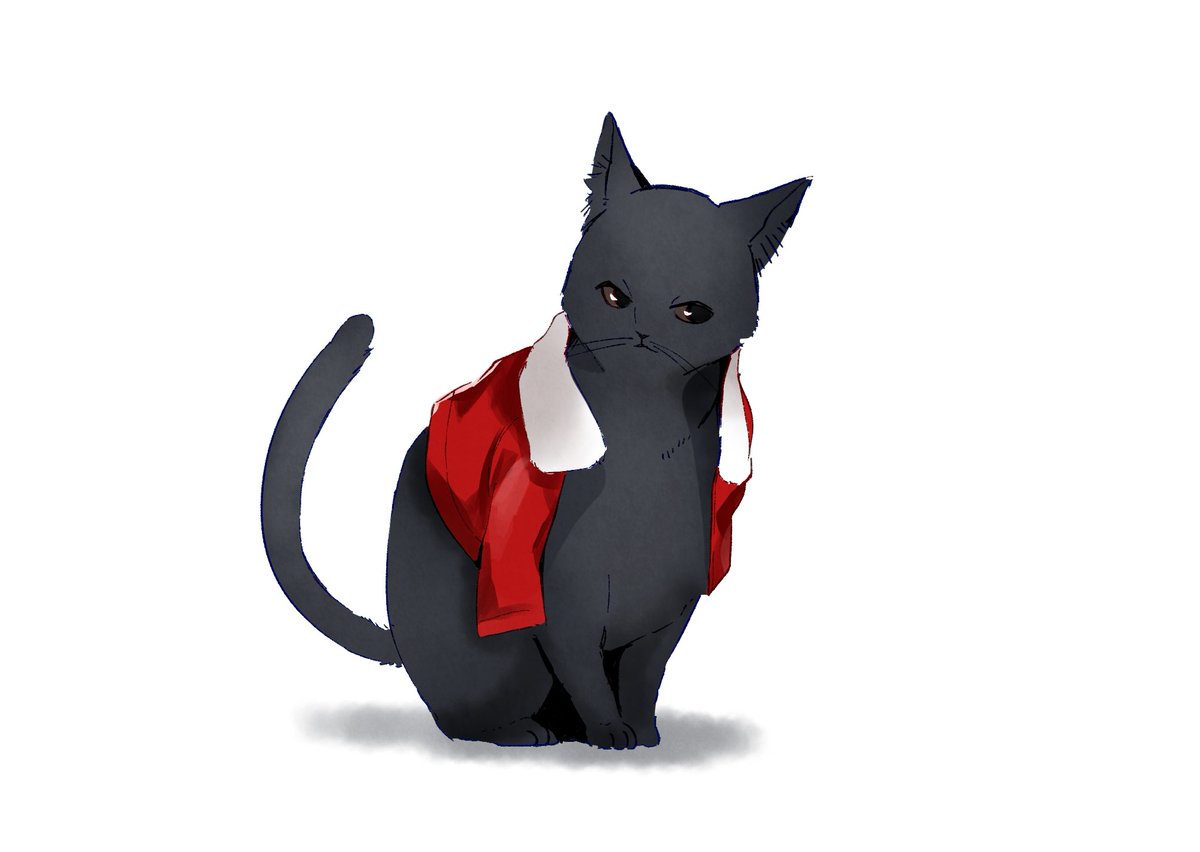 ryougi shiki no humans cat red jacket jacket animal focus white background animalization  illustration images