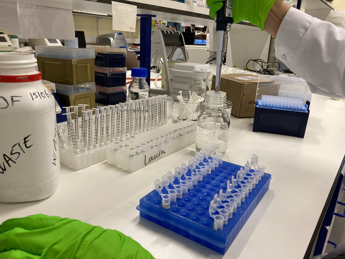 FraserRHUL tweet media