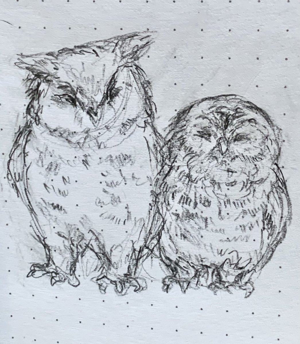 Let's just pretend that I don't know that great horned owls eat rufous-legged owls and that they're lovebirds 