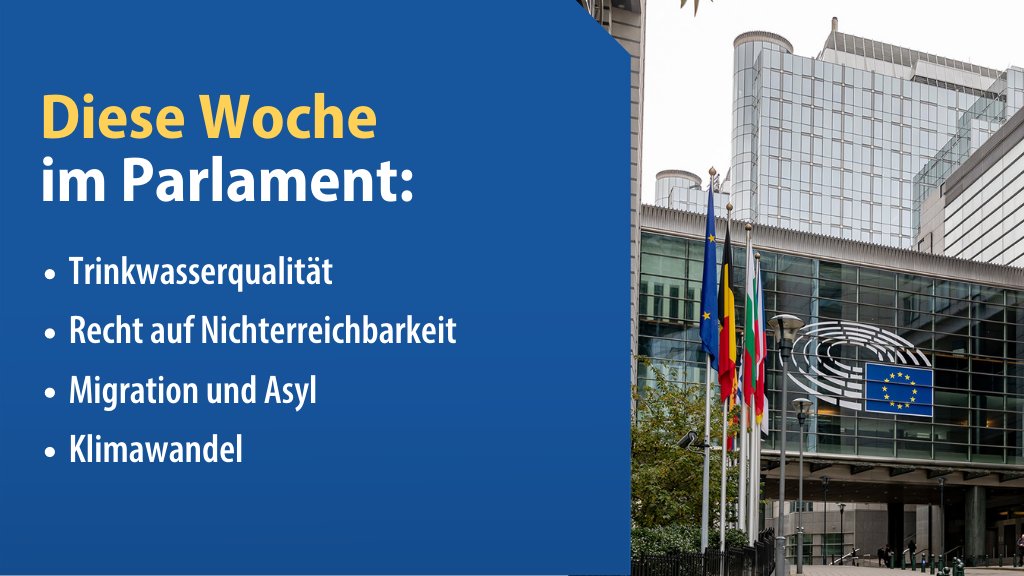 Mit welchen Themen befasst sich das EU-Parlament in den kommenden Tagen❔

❕ Das erfahrt ihr in unserer Zusammenfassung ➡️ eptwitter.eu/qvm6