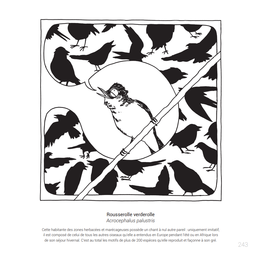 marcelbarelli's tweet photo. Les #Oiseaux et leurs chants... une longue histoire...
🐦🦉🦆🎵🎶
Quelque exemple vous le trouvez dans
#BESTIAIRE #HELVETIQUE 📕👇
@EPFLPRESS #bestiairehelvetique #bestiairesuisse
@oiseaux_net @station_ornitho
Disponible en librairie et ici :
https://t.co/2jzOMfMkwm https://t.co/mQxadZzsxH