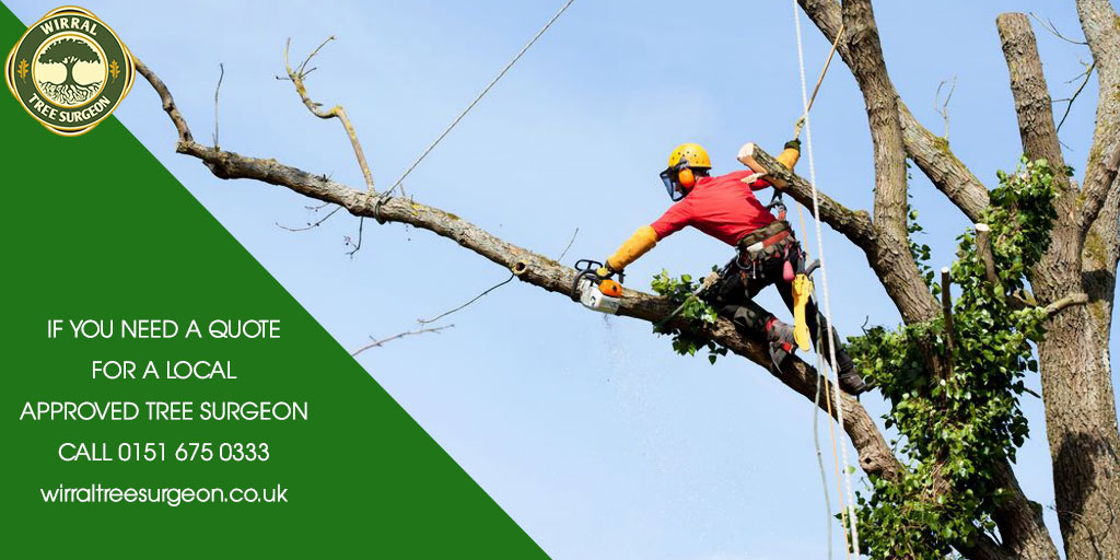 Wirral Tree Surgeon tweet media