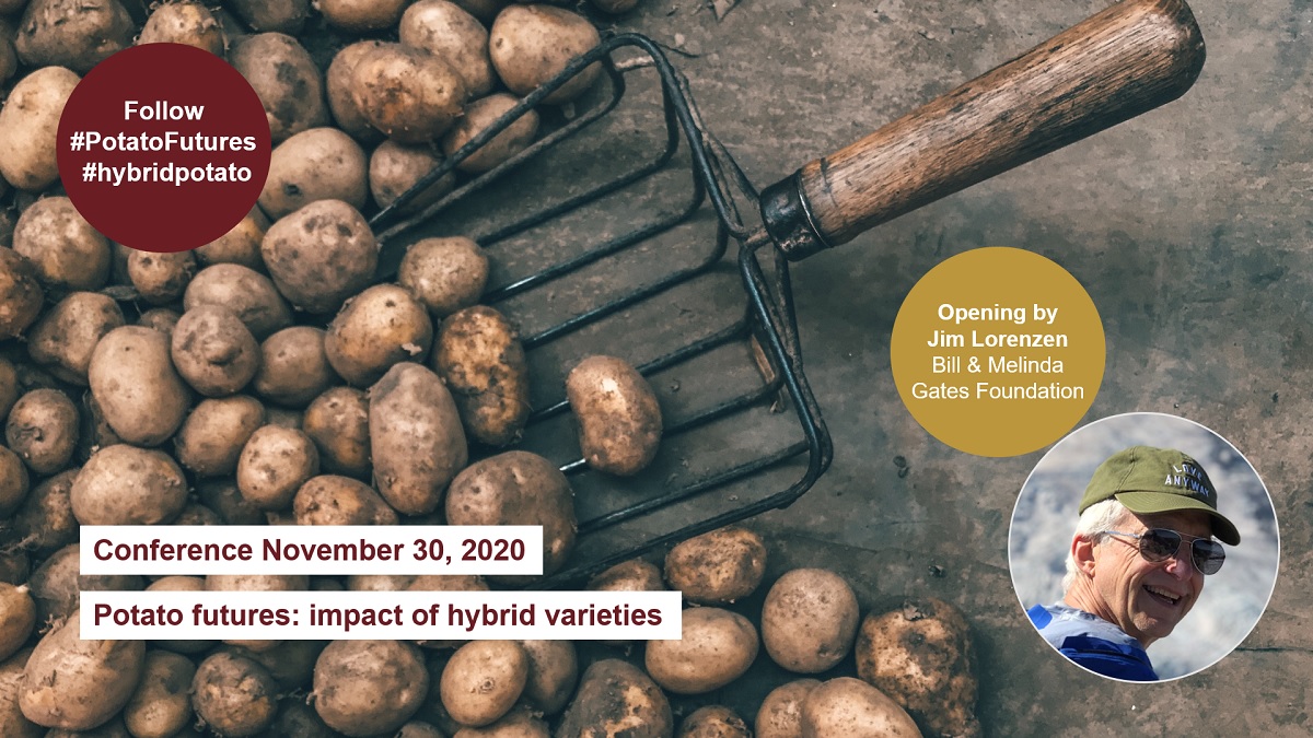 #PotatoFutures | Today 30 Nov at 10:00 Jim Lorenzen <a href="/gatesfoundation/">Gates Foundation</a> opens the online international conference “Potato futures: impact of hybrid varieties”, organized by <a href="/WUR/">Wageningen U&R</a> <a href="/univgroningen/">University of Groningen</a> <a href="/RathenauNL/">Rathenau Instituut</a> <a href="/solynta/">solynta - true potato seeds</a> #NetherlandsFoodPartnership
nlfoodpartnership.com/events/interna…    
#hybridpotato