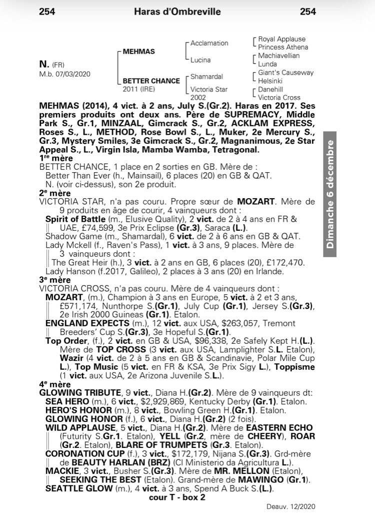 Haras De La Mercerie tweet media