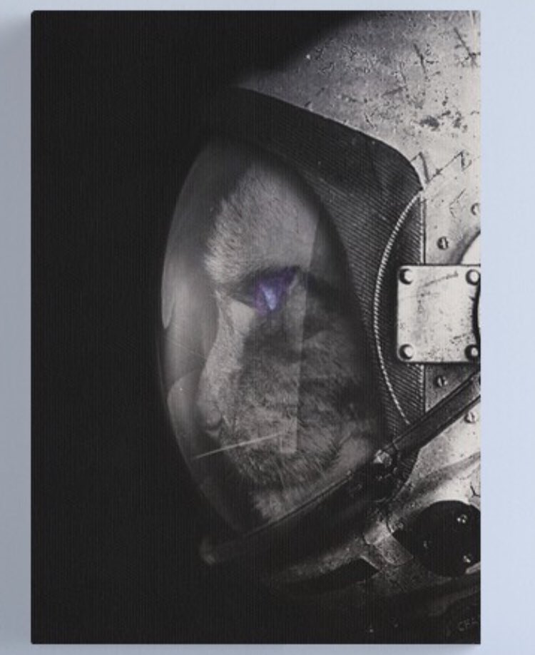 Our twins share a room and one likes space and the other likes cats so my husband is sending me a bunch of cat astronaut posters, which is a whole genre apparently