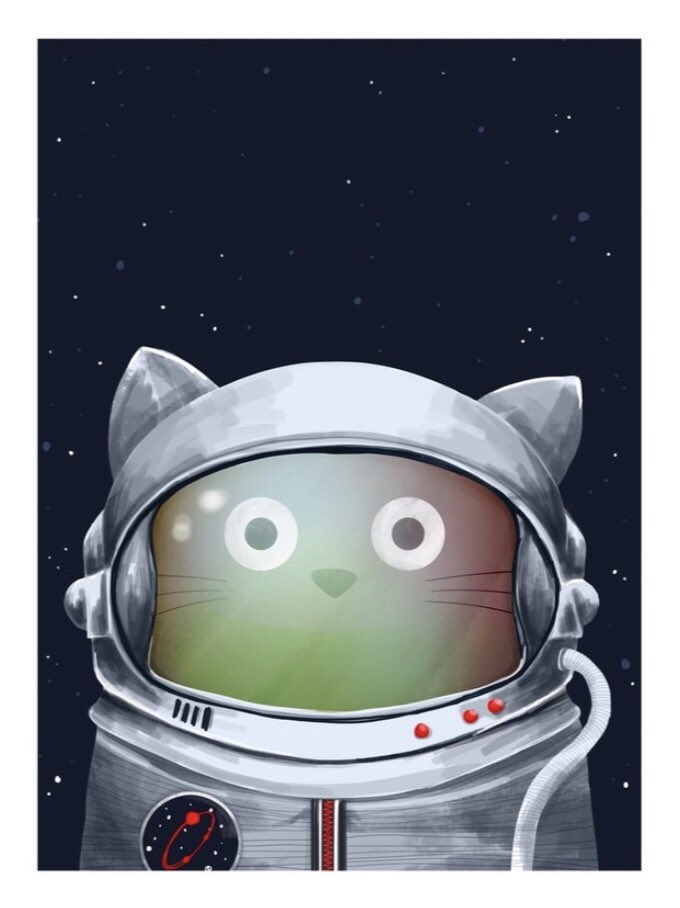 Our twins share a room and one likes space and the other likes cats so my husband is sending me a bunch of cat astronaut posters, which is a whole genre apparently