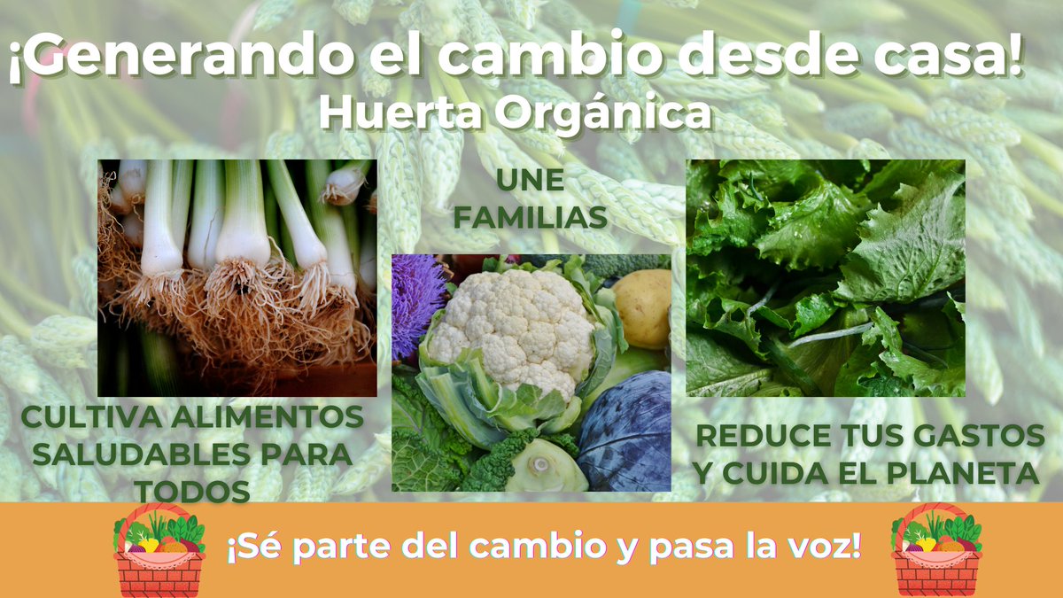 Diana Quintana tweet media
