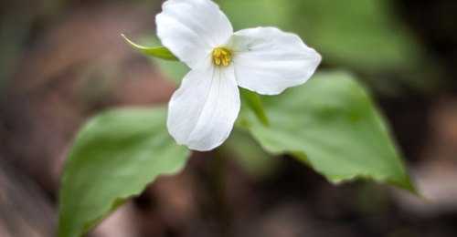 The Ontario government is launching the  #Community  #Paramedicine for Long-Term Care program in five communities across the province. This program will help seniors stay safe in their own homes & communities for longer.  @ChiefMNolan . https://www.facebook.com/ParamedProf/posts/3578939765483084?__cft__[0]=AZUHCJb29iEnCKhxO7tHKjouyxXR3RnEyTcOdtcdXs-nQWHBpVesFrFmQCqX7M7FMr8t4BxDzfzqja61YqOP2ViN9WRr5GNUXyTHjSeAxiLgsiNBoEIFDBLFCclJEii-xUqr6eWsTqUefdNa0Gt_VBExp3hkf01txQECIZhZ00kfj28uuSx3Ab4mAej8ryFy6R0&__tn__=%2CO%2CP-R