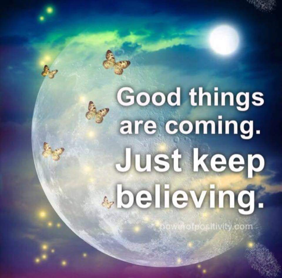 Wayne Collier tweet media