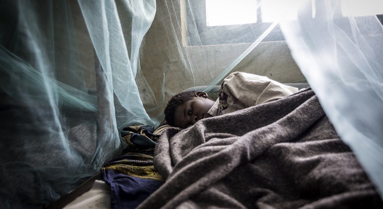COVID-19 threatens global progress against malaria, warns UN health agency https://t.co/ThwEzMYTPG https://t.co/jZSXsC4fCU