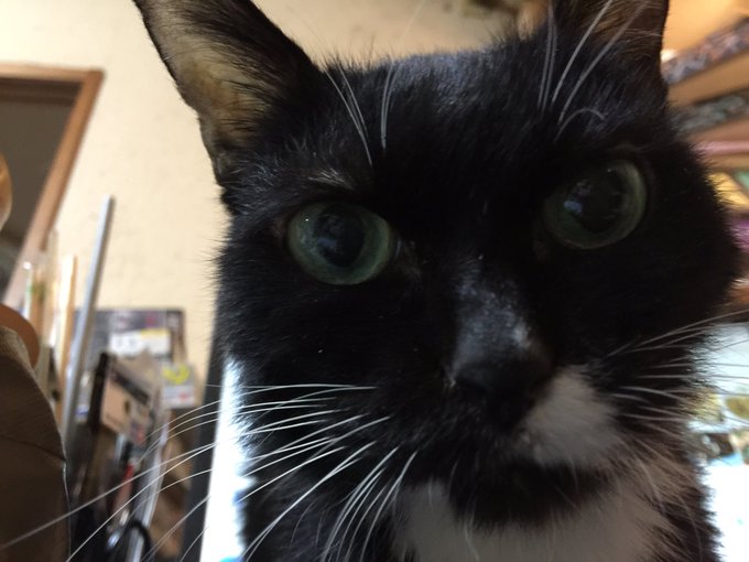 締め切りまであと二時間か… 