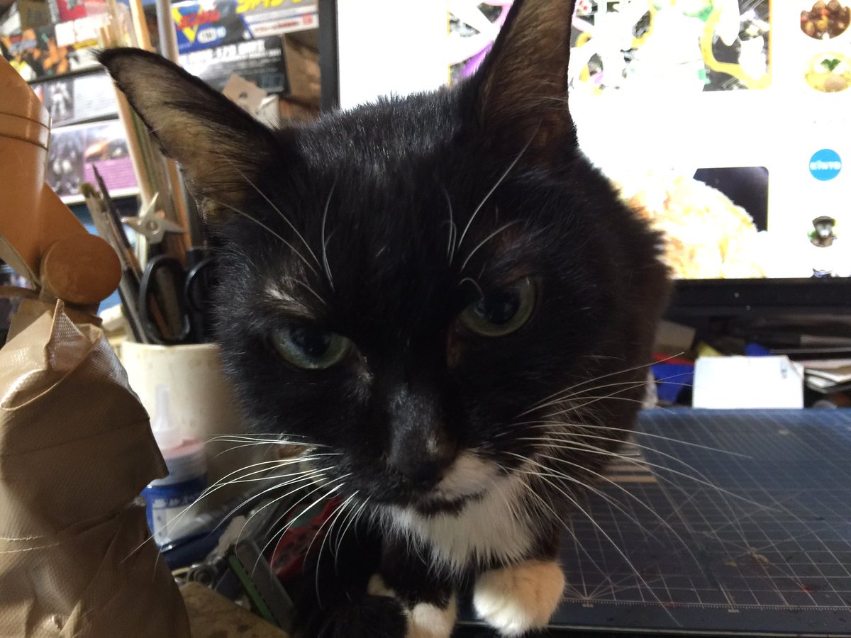 締め切りまであと二時間か… 