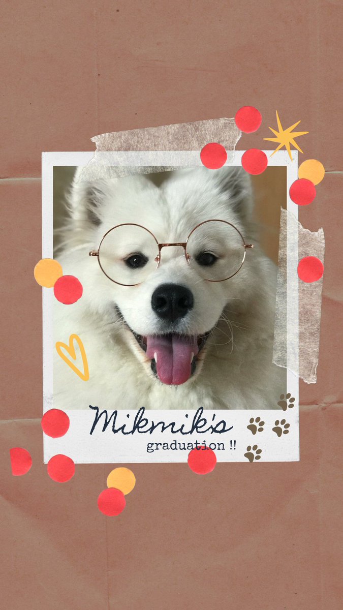 BL00DYP0EMS's tweet photo. ⠀ ⠀
Gagraduate na ang
Ate Mikmik 🤩👈🏻
#FurSchoolGraduation
#BatchOne
⠀ ⠀ https://t.co/VHsURC7oLF