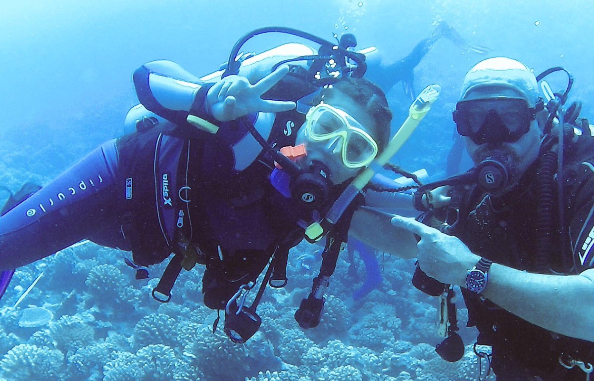 Ileana F. tweet media