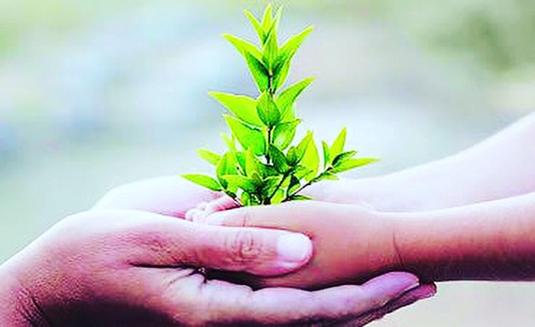 NirmayaF's tweet photo. #treeplantation #tree #gogreen #nature #climatechange #environment #planttrees #india #greenary #save #greenrevolution #ngo #green #environmentaldevelopment #worldenvironmentday #plant #life #glowtrgreen #greenplanet #earth #environmentday #saveearth #airpollution #world https://t.co/XtfztsU8wu
