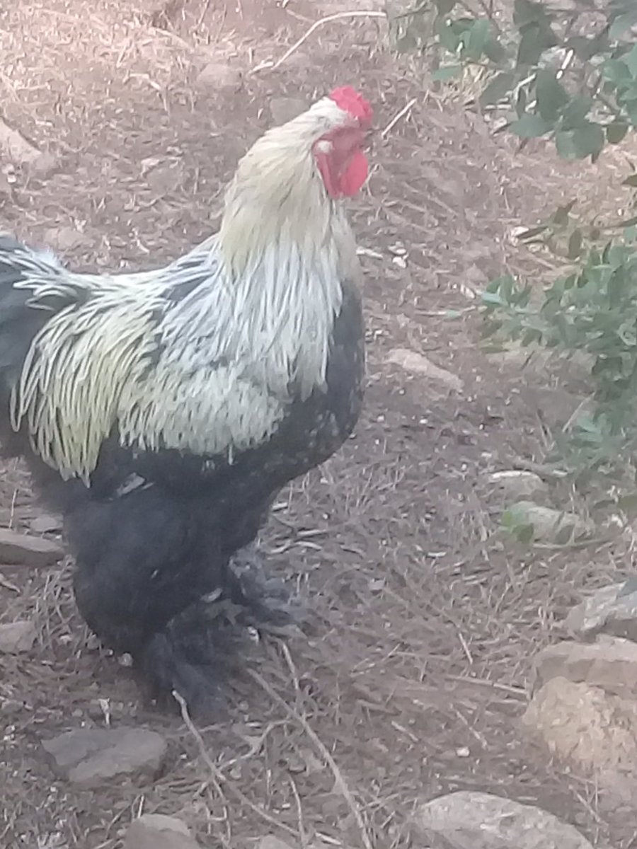 Günaydın güzel insanlar