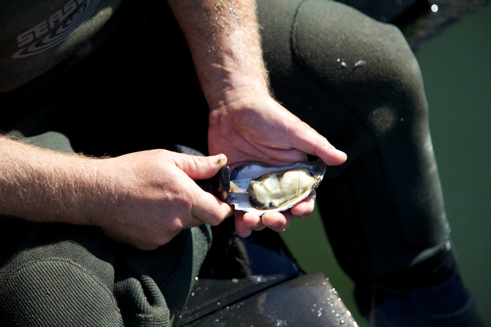 NSW Farmers tweet media