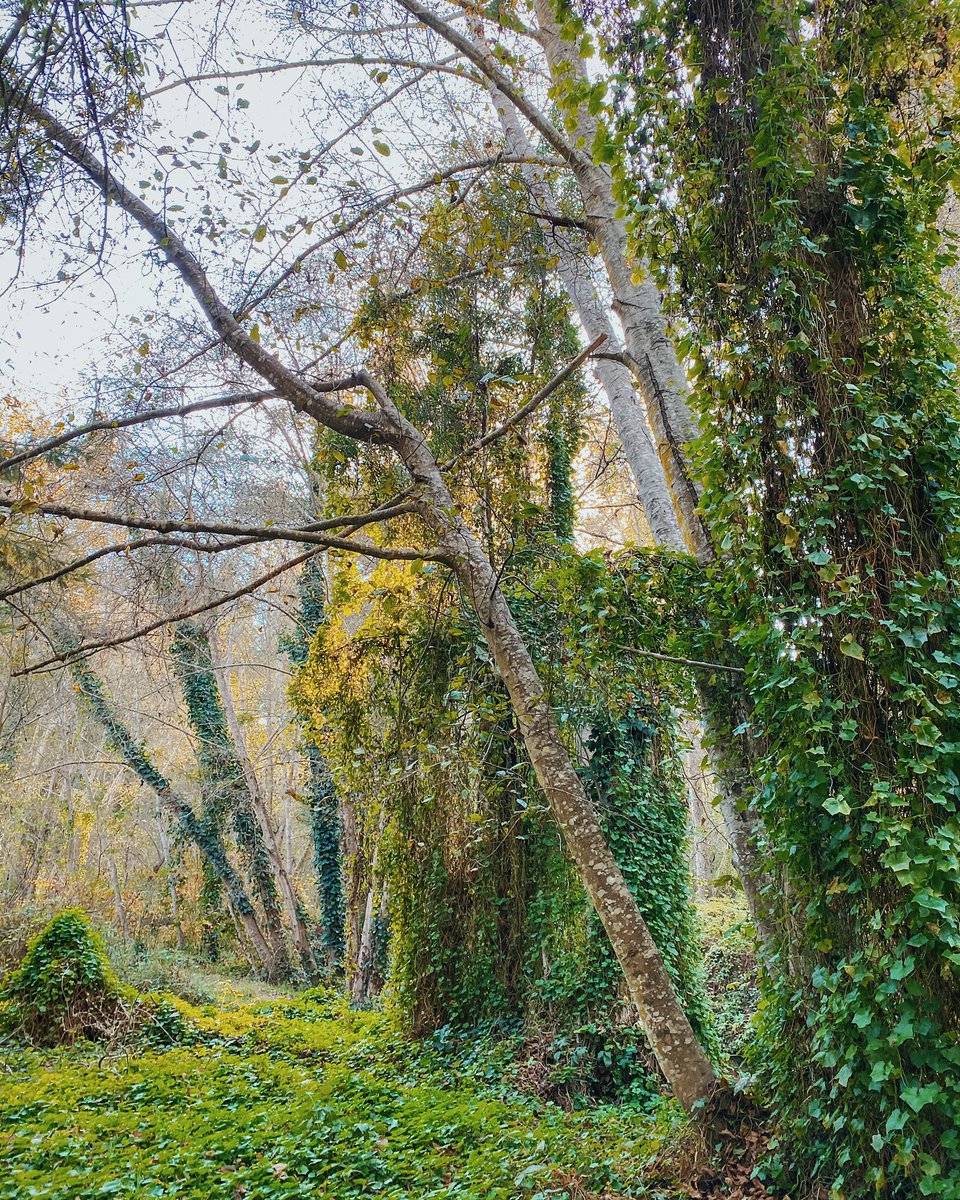 Wai (@quistwe) on Twitter photo 