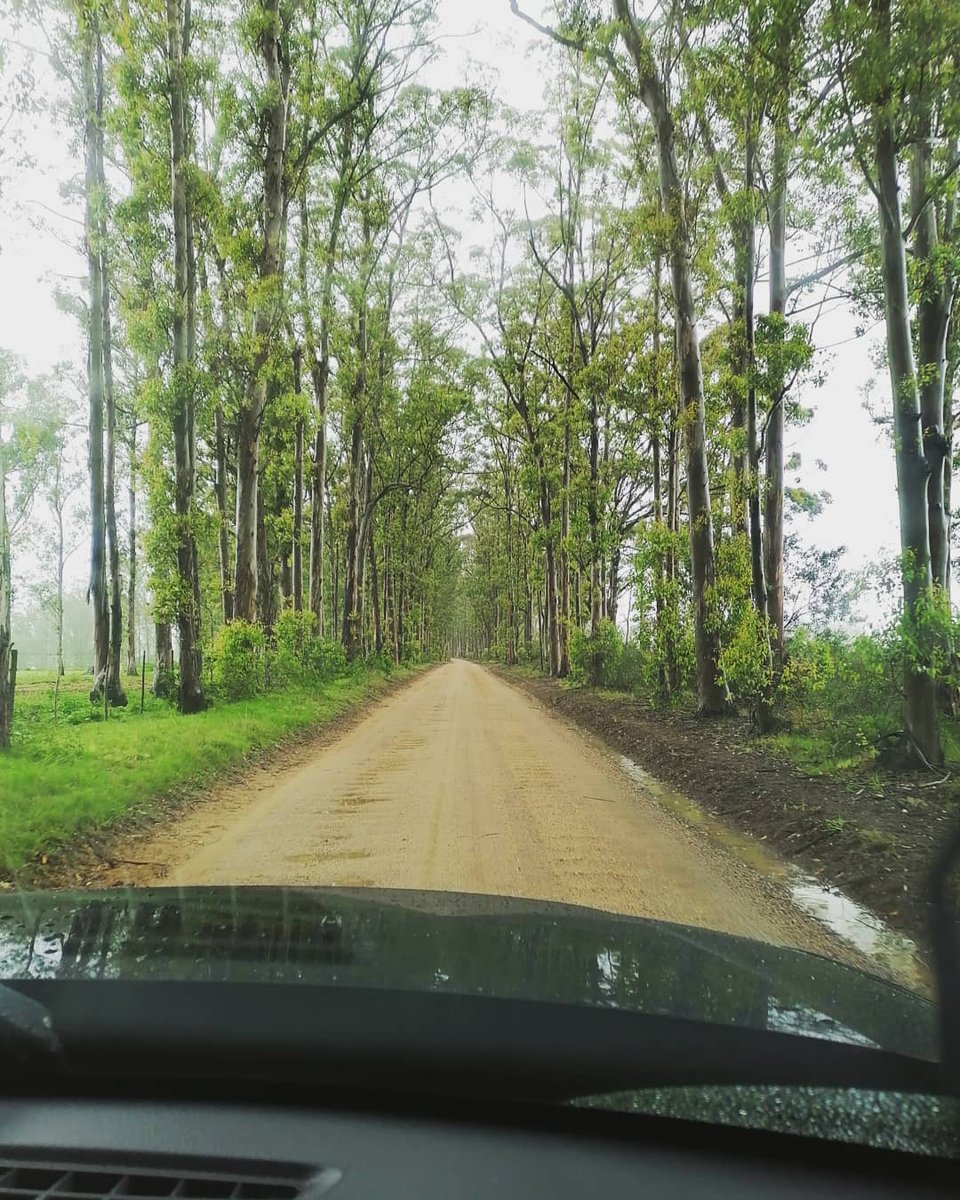 Oh, what a wonderful weekend in Wilderness! 

<a href="/AfriCamps_SA/">AfriCamps</a>